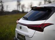Lexus UX 300h 15