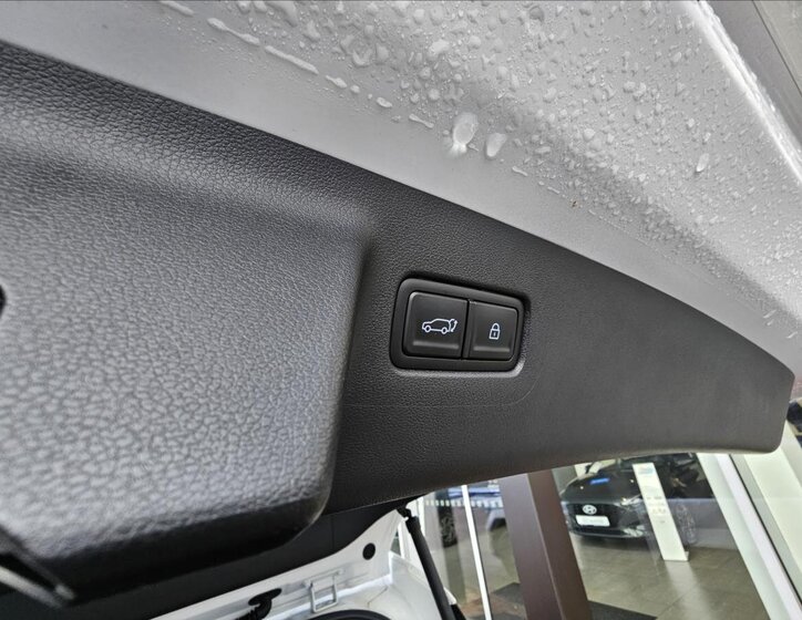 Hyundai Santa Fe SUV / Terénní 0,0 117 kw