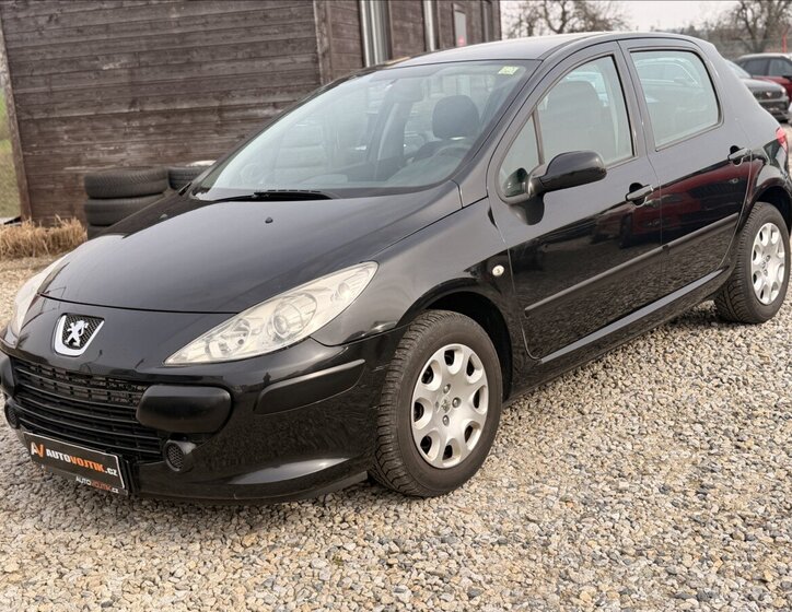 Peugeot 307 Hatchback 1,6 l 80 kw