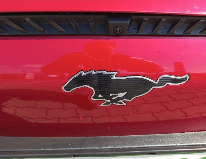 Ford Mustang Mach-E 10