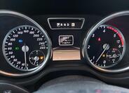 Mercedes-Benz Třídy G 31