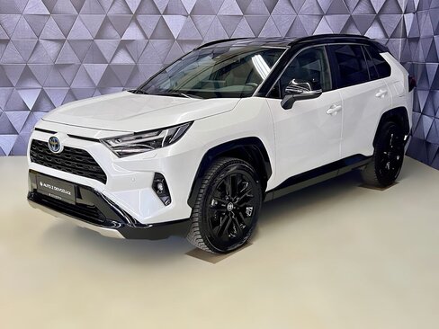 Toyota RAV4 SUV 2,5 l 163 kw