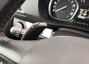 Peugeot Traveller 29