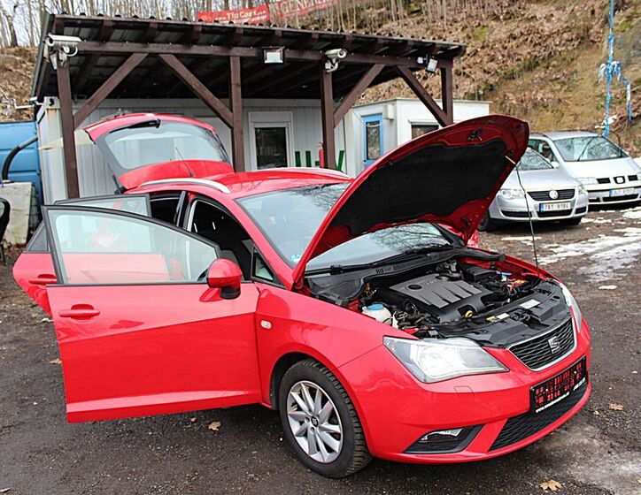 Seat Ibiza 31