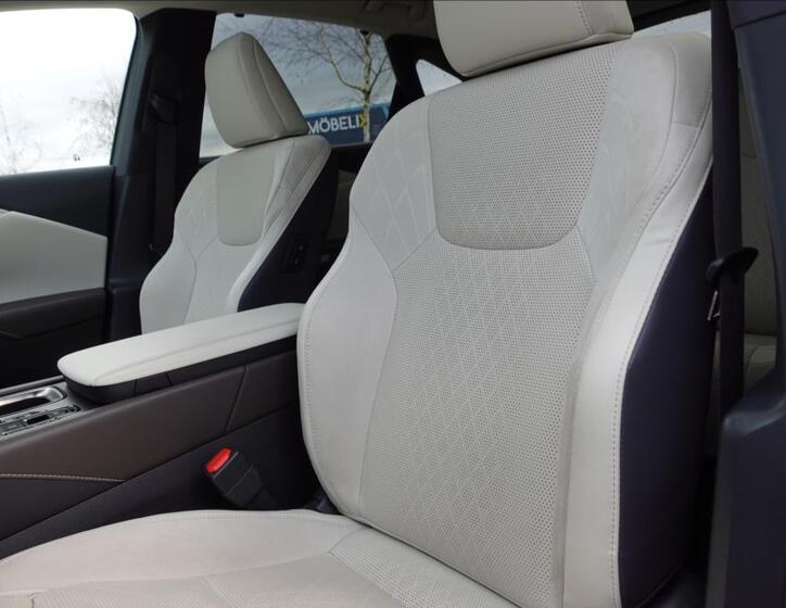 Lexus RX 450h plus 37