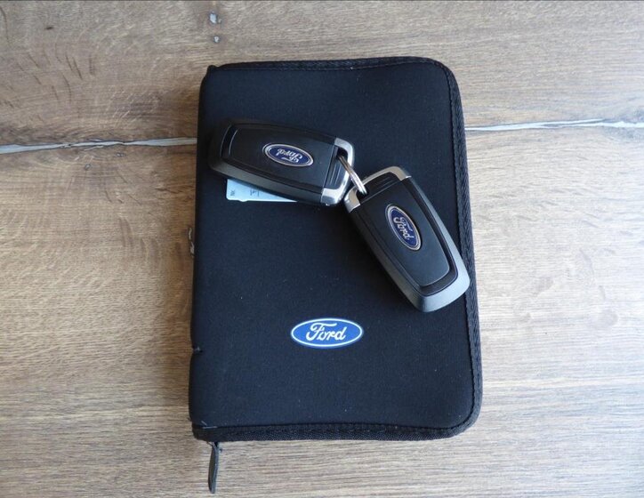 Ford S-MAX MPV 2,0 l 110 kw