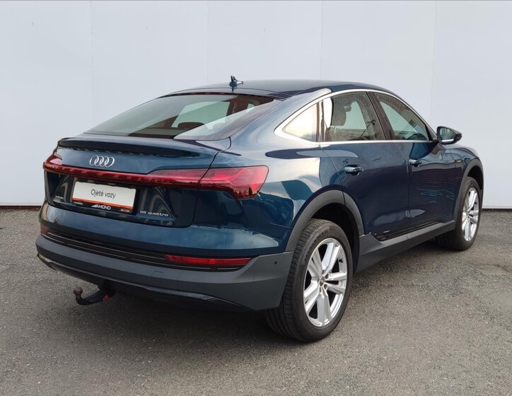 Audi e-tron SUV / Terénní 0,0 300 kw