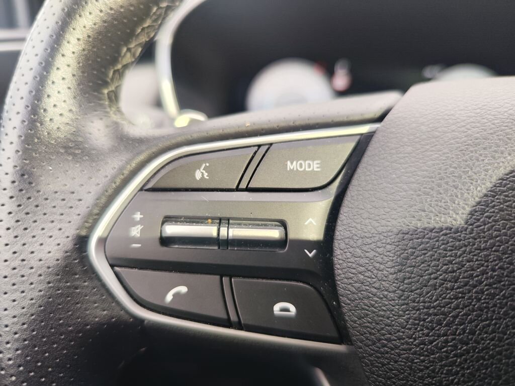 Hyundai Santa Fe SUV 2,2 l 142 kw