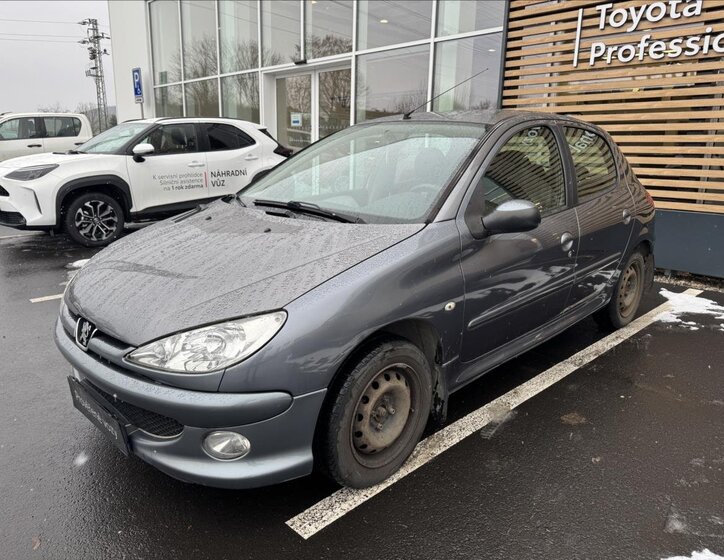 Peugeot 206 Hatchback 1,4 l 55 kw