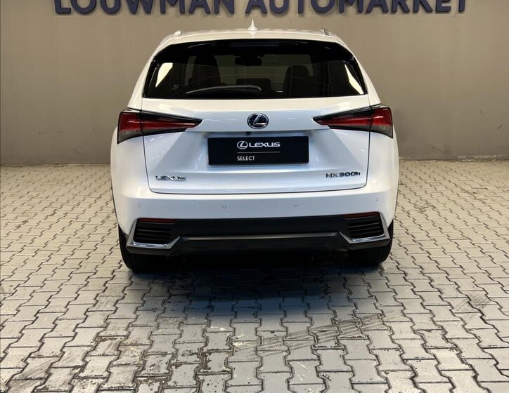 Lexus NX 300h 12