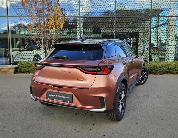 Lexus LBX 7