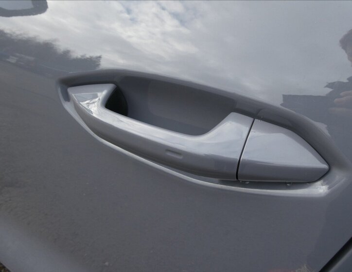 Cupra Terramar SUV / Terénní 2,0 l 195 kw