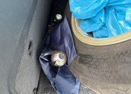 Volkswagen Touran MPV 1,6 l 77 kw