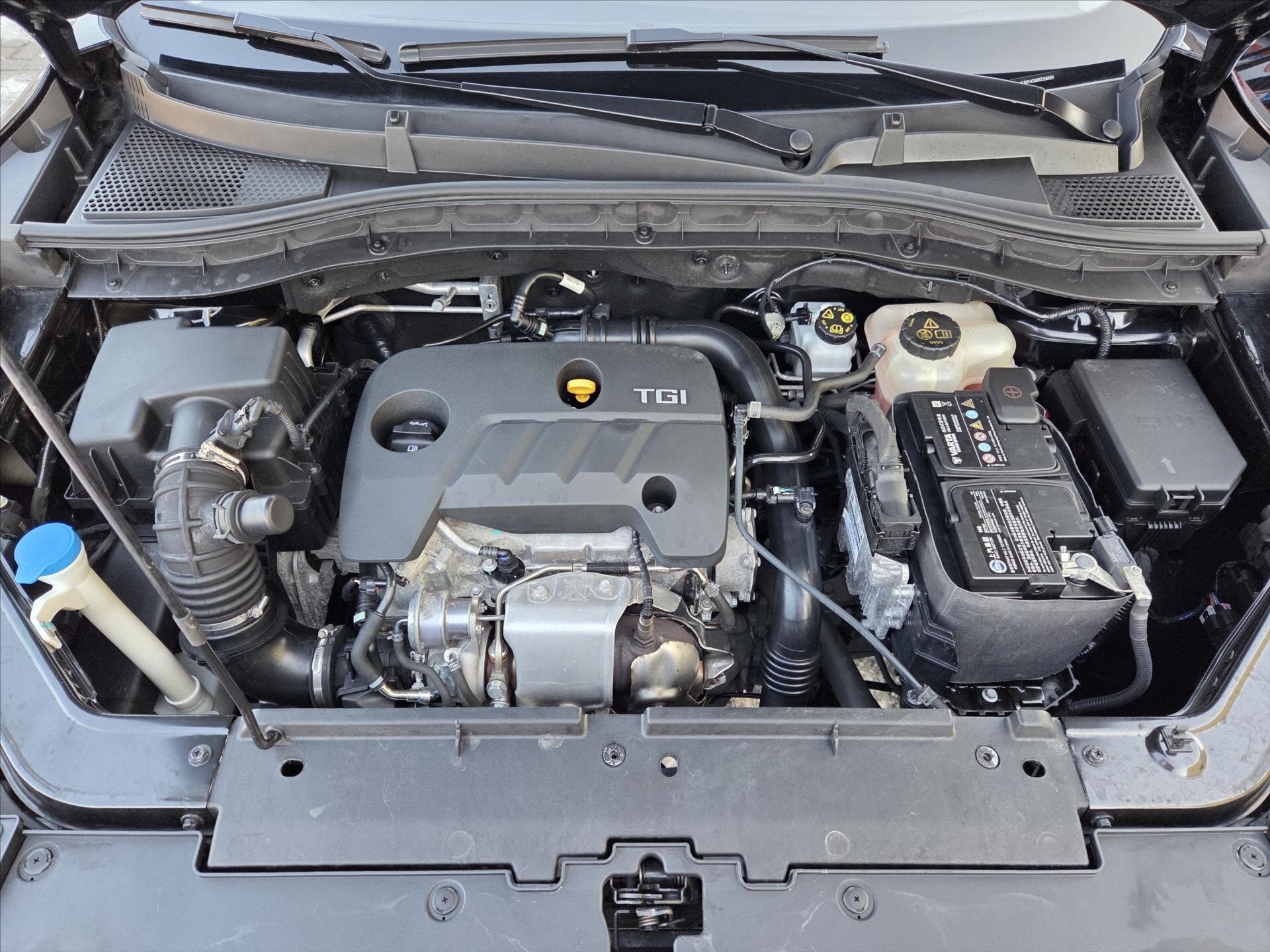 MG ZS SUV 999,0 82 kw