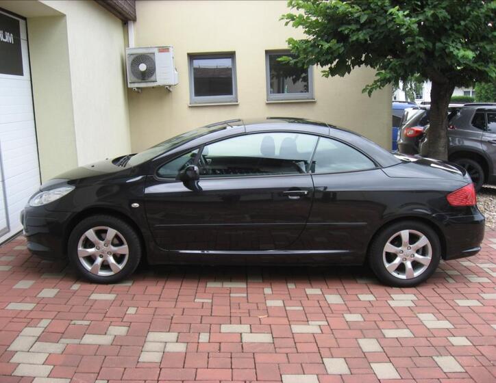 Peugeot 307 11