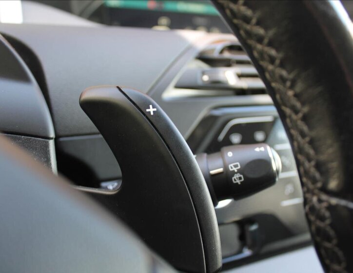 Citroën C4 Picasso MPV 2,0 l 110 kw