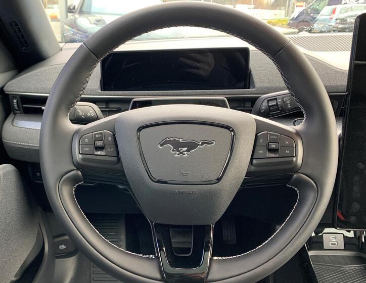 Ford Mustang Mach-E 15