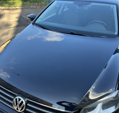 Volkswagen Passat 12