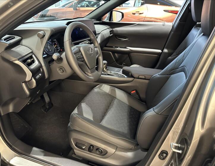 Lexus UX 250h 9