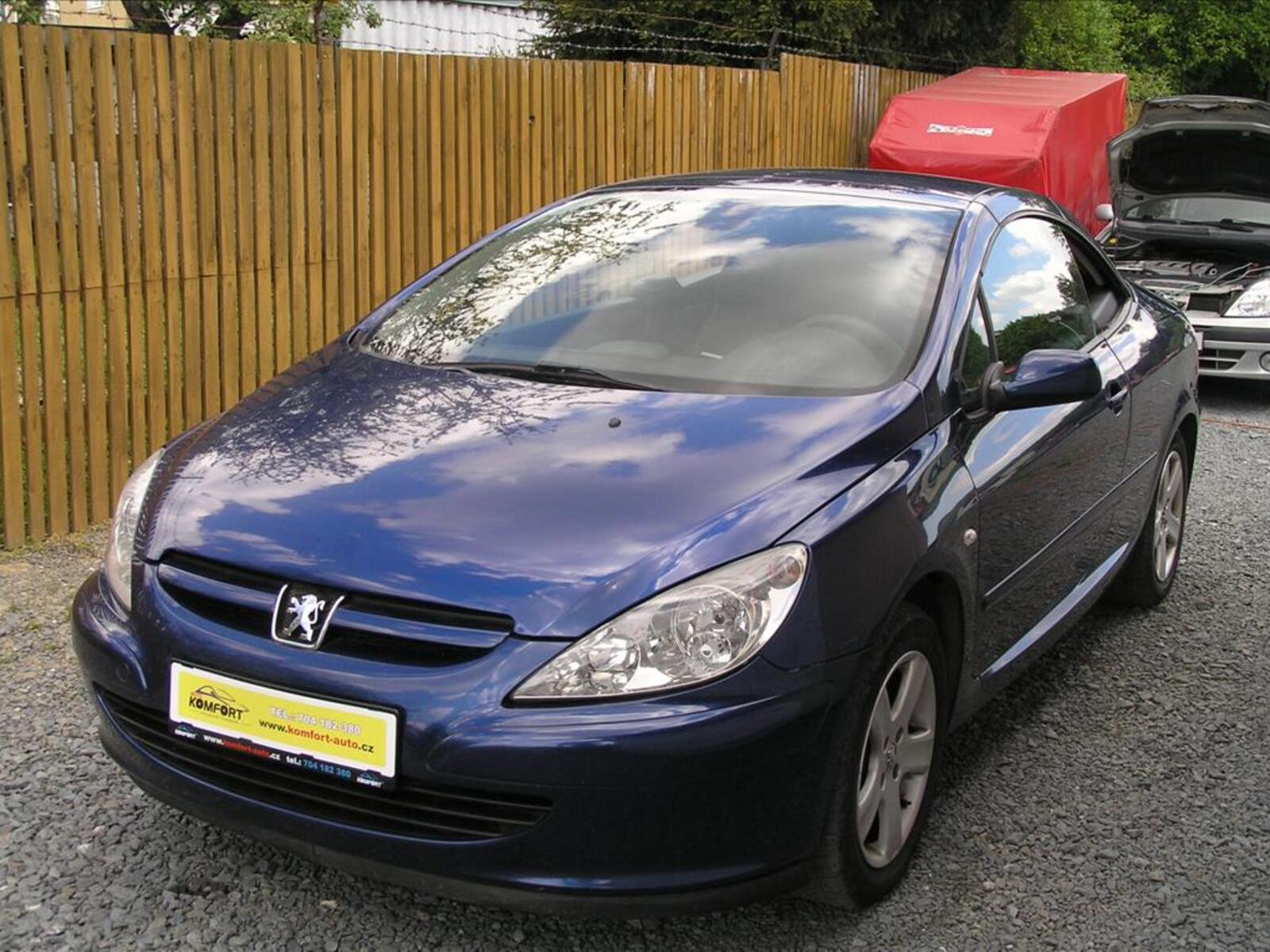Peugeot 307 20