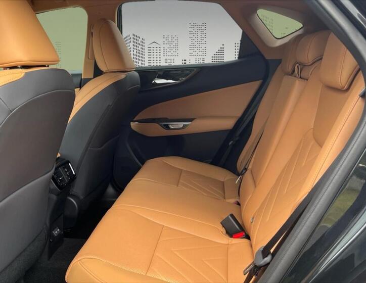 Lexus NX 350h 6