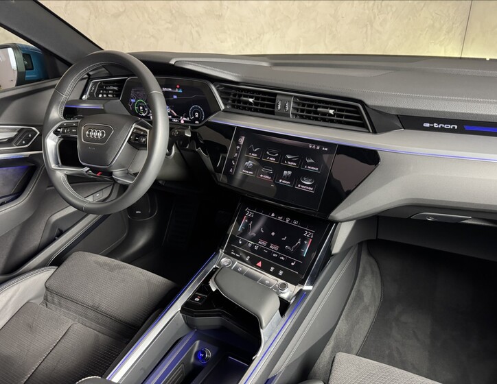 Audi e-tron 19