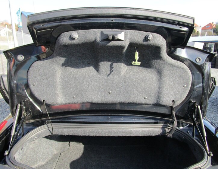 Ford Mustang Kabriolet 2,3 l 231 kw