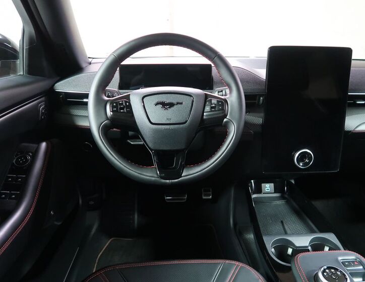 Ford Mustang Mach-E 17