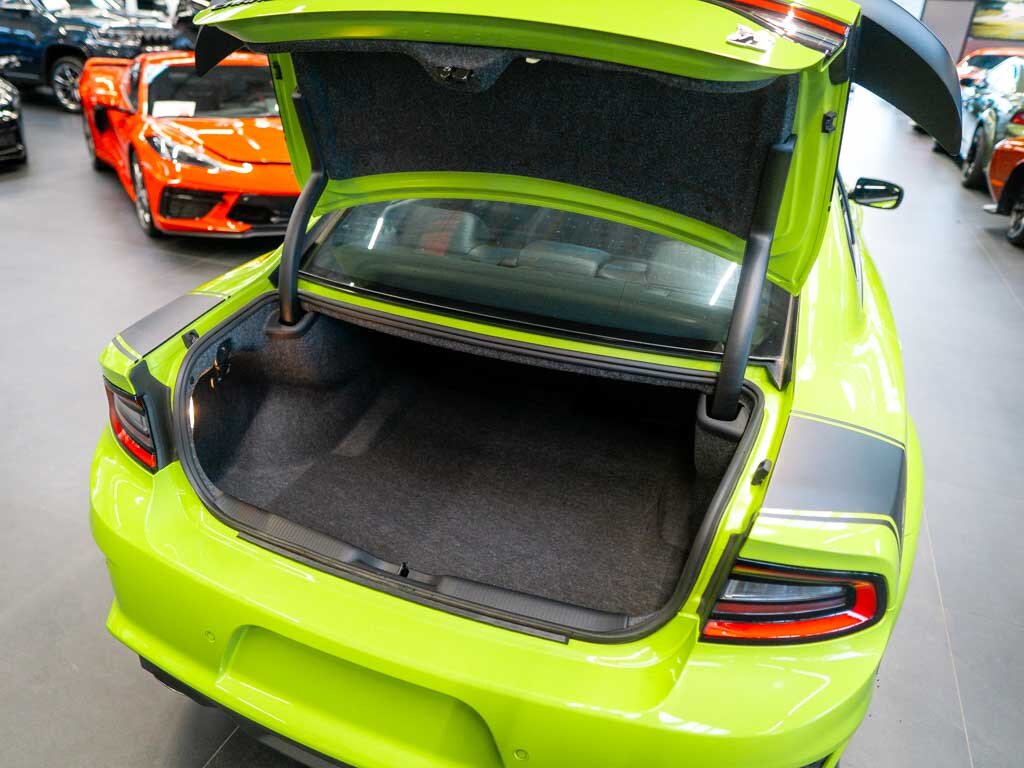 Dodge Charger Ostatní 6,4 l 362 kw