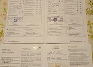 Volkswagen Transporter VAN / Minibus 0,0 62 kw