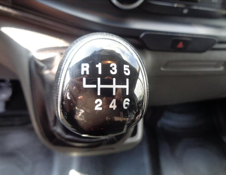 Ford Transit Custom Ostatní 2,0 l 79 kw