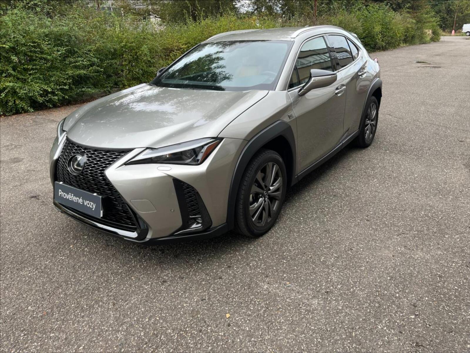 Lexus UX 250h 5