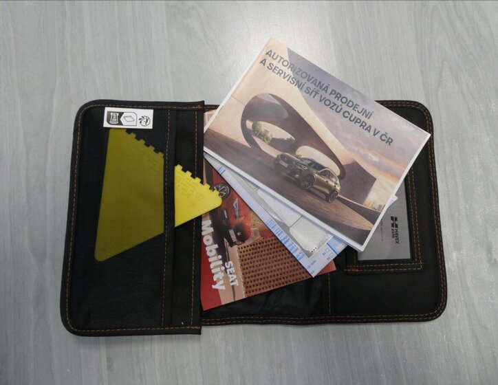 Cupra Terramar SUV 2,0 l 195 kw