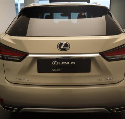 Lexus RX 300 9