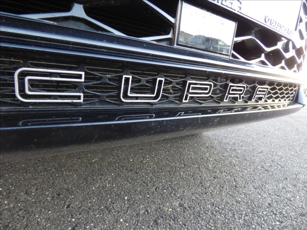 Cupra Ateca SUV / Terénní 2,0 l 221 kw