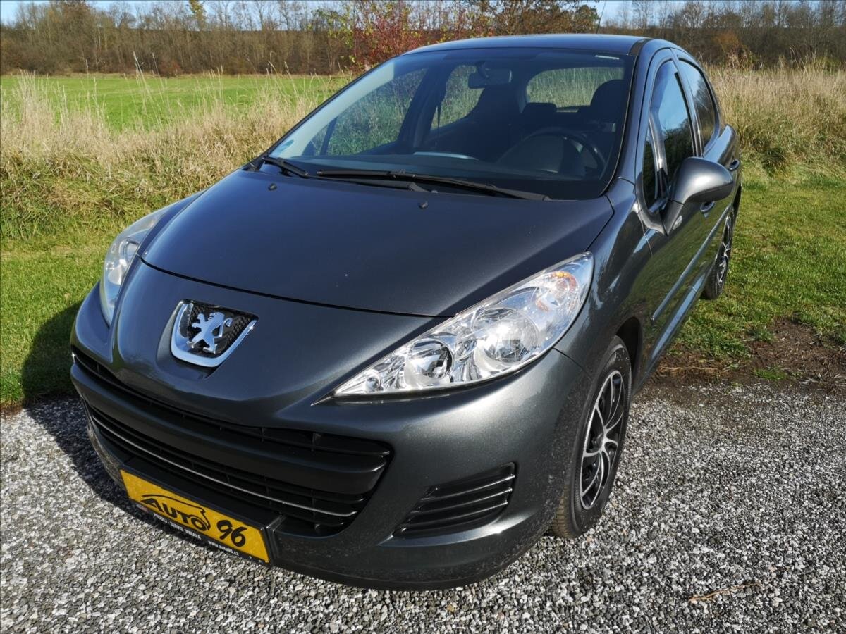 Peugeot 207 Hatchback 1,4 l 70 kw
