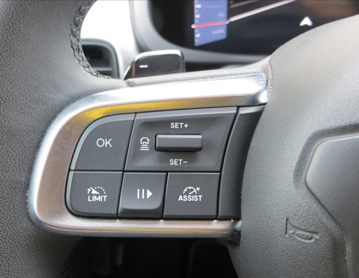 Jeep Avenger Ostatní 1,2 l 74 kw