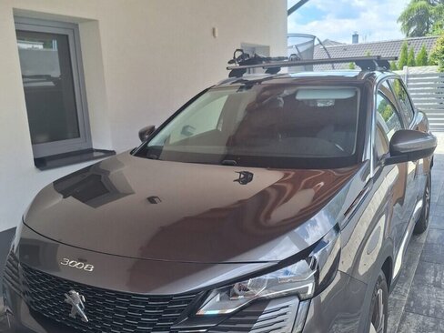 Peugeot 3008 SUV / Terénní 0,0 96 kw