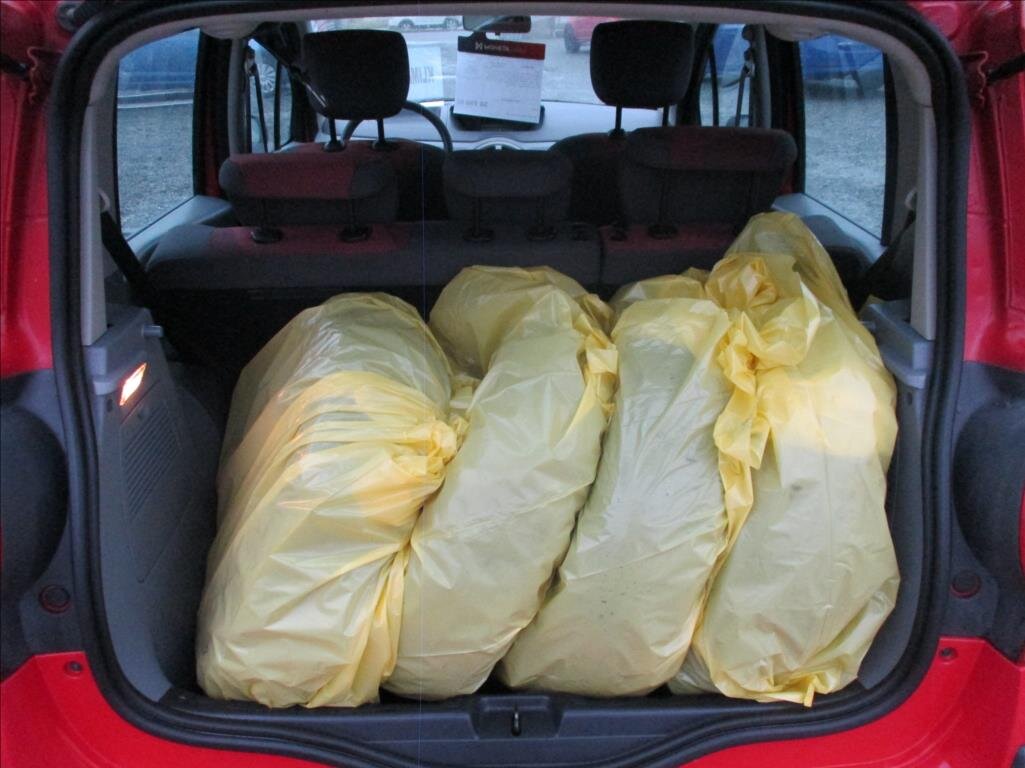 Renault Modus Hatchback 1,1 l 55 kw