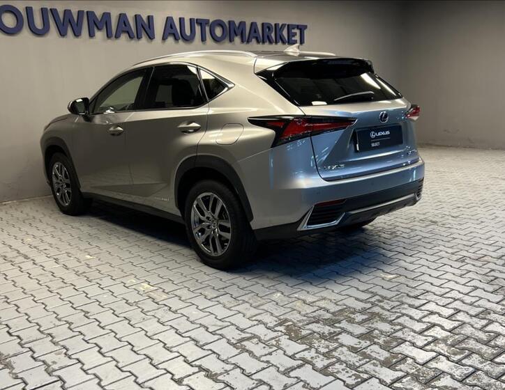 Lexus NX 300h 13