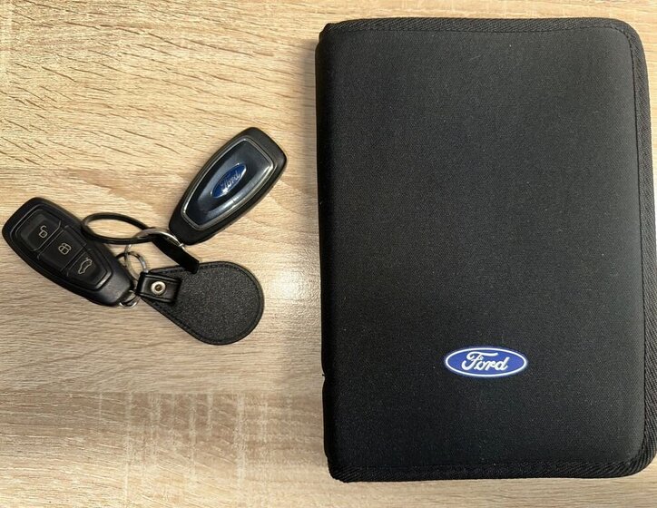 Ford C-MAX Kombi 1,6 l 110 kw