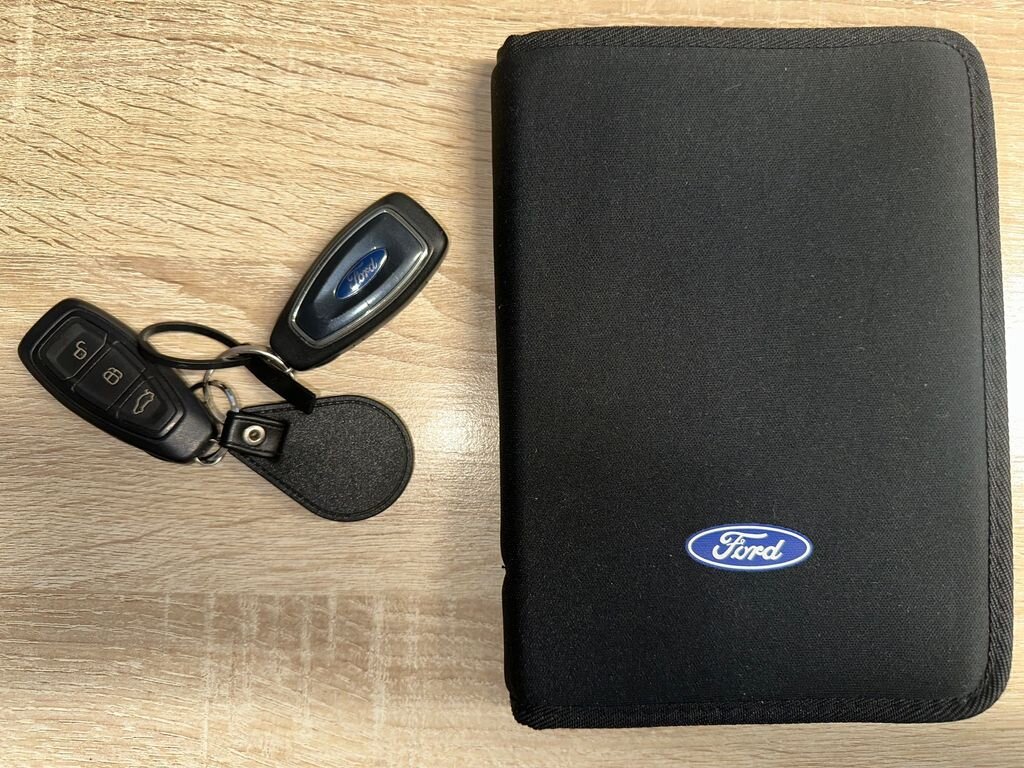 Ford C-MAX Kombi 1,6 l 110 kw