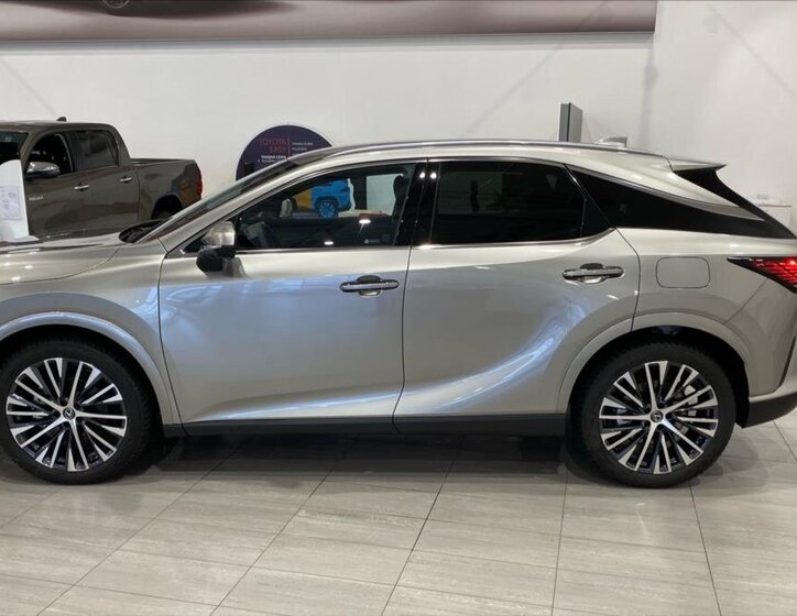 Lexus RX 450h plus 9