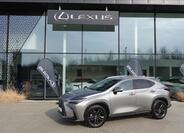 Lexus NX 350h 1
