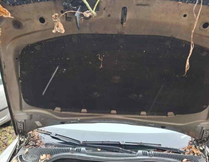 Škoda Octavia Ostatní 2,0 l 103 kw