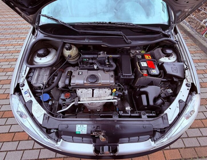 Peugeot 206 Hatchback 1,4 l 55 kw