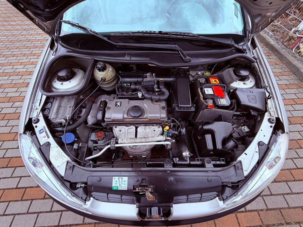 Peugeot 206 Hatchback 1,4 l 55 kw