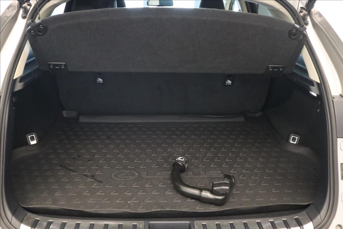 Lexus NX 300h