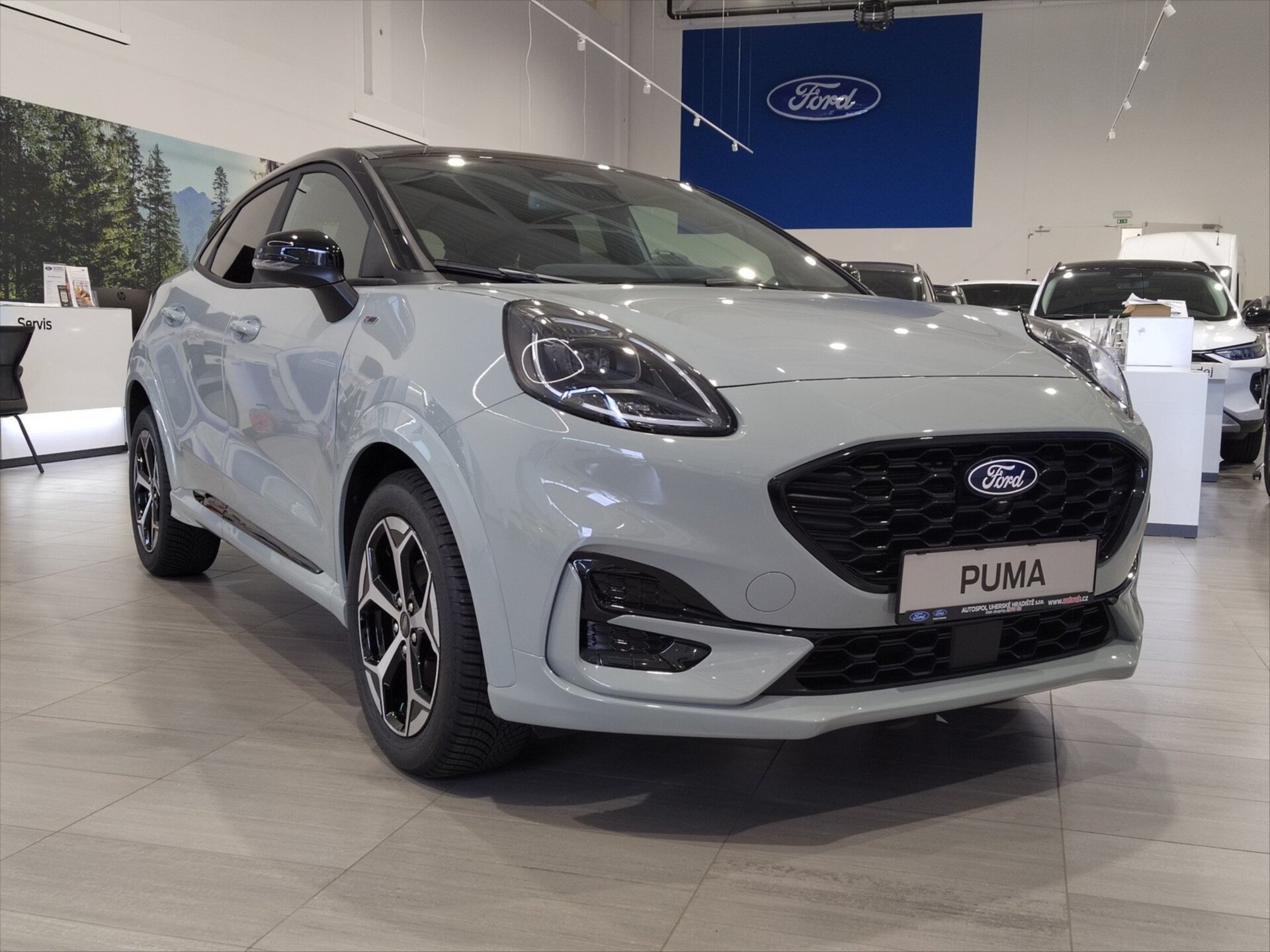 Ford Puma Ostatní 999,0 91 kw