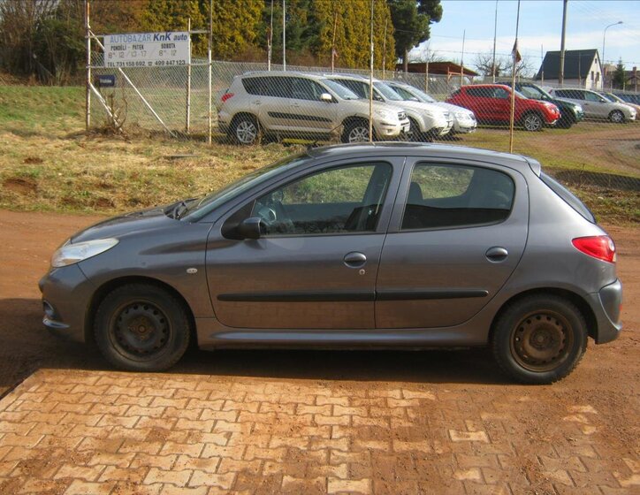 Peugeot 206 Hatchback 1,4 l 50 kw